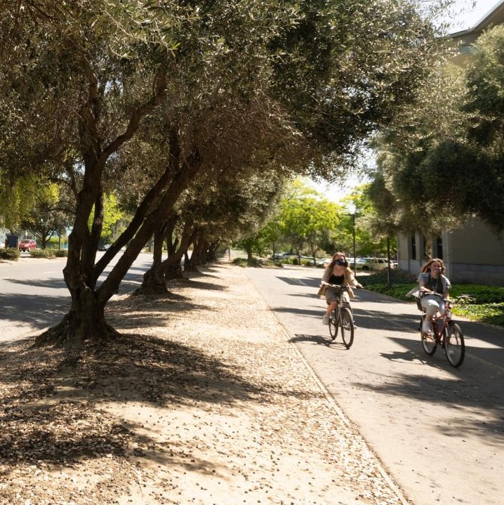 Bicyclists on the bike path alongside Russell Boulevard
