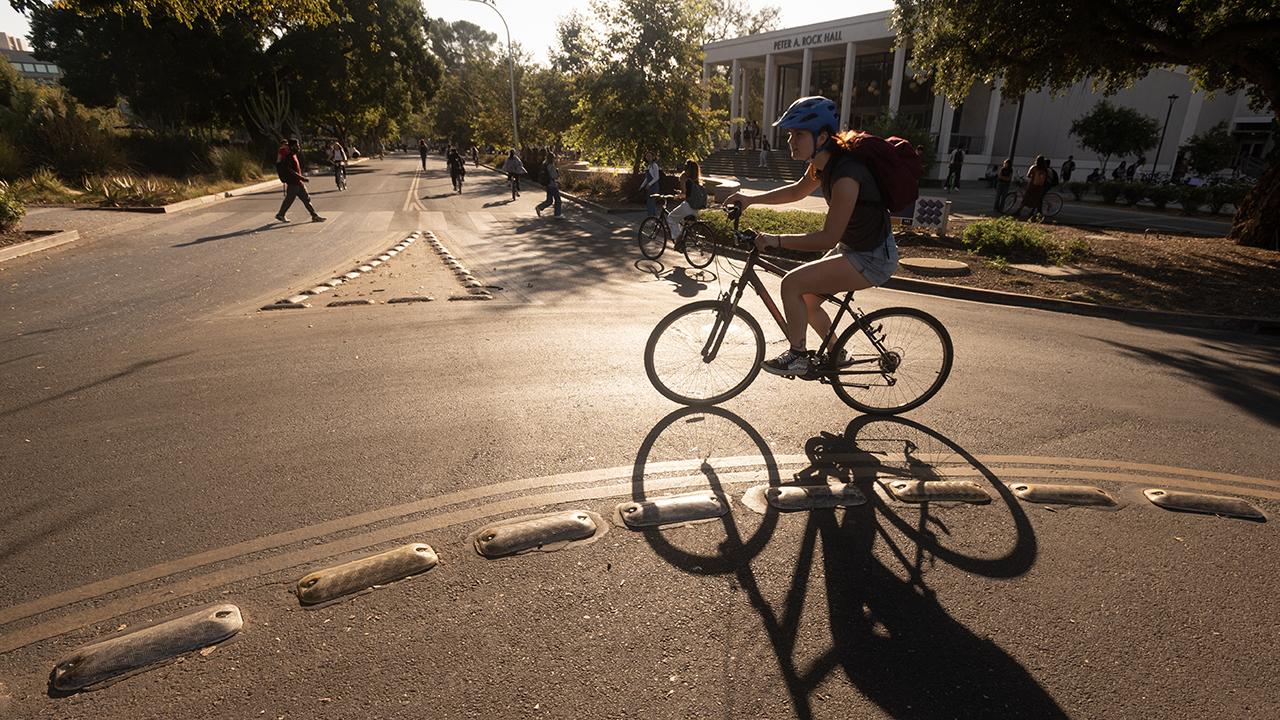 Student biking around traffic circle on the UC Davis campus.