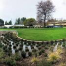 Kleiber Hall Drive Basin