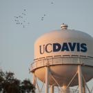 top of the uc davis water tower