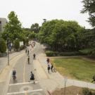 Aerial view of a bike path at UC Davis