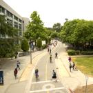 Aerial view of a bike path on the UC Davis campus