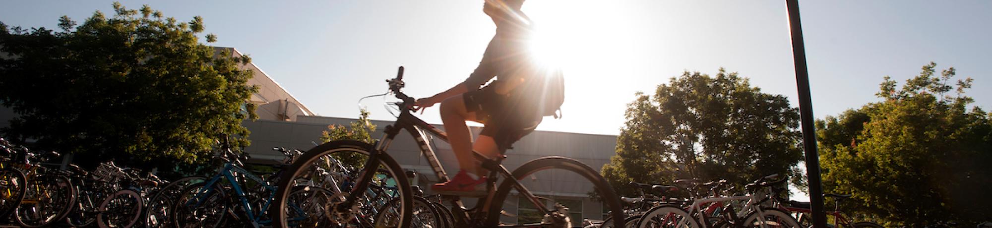Person biking on campus.