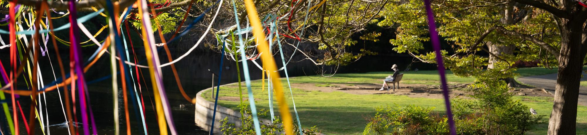 Art installation in the Arboretum